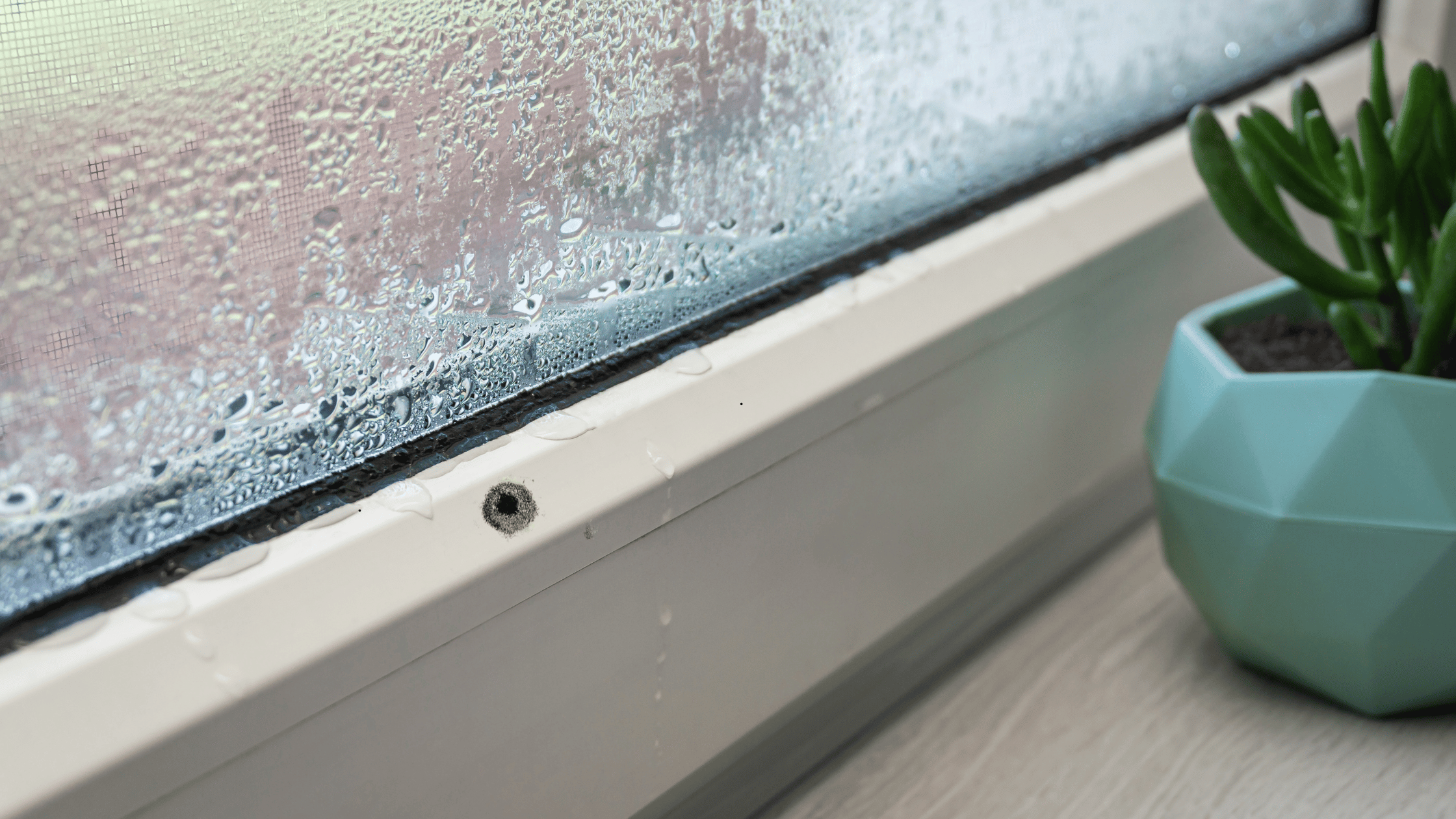 How to Keep Damp at Bay: A Simple Moisture and Condensation Routine for Australian Homes